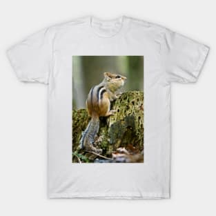 Chipmunk T-Shirt